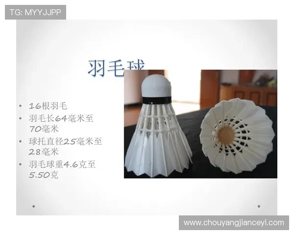 广州羽毛球队挑战赛战术分析与表现评估探讨