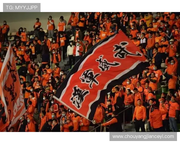 武汉足球队逆袭之路揭秘:从低谷到巅峰的奋斗与荣耀 武汉足球队逆袭之路揭秘:从低谷到巅峰的奋斗与荣耀