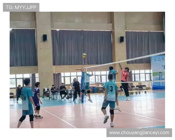 武汉排球队的拼搏之路挑战赛特别报道展现奋斗精神与团队力量